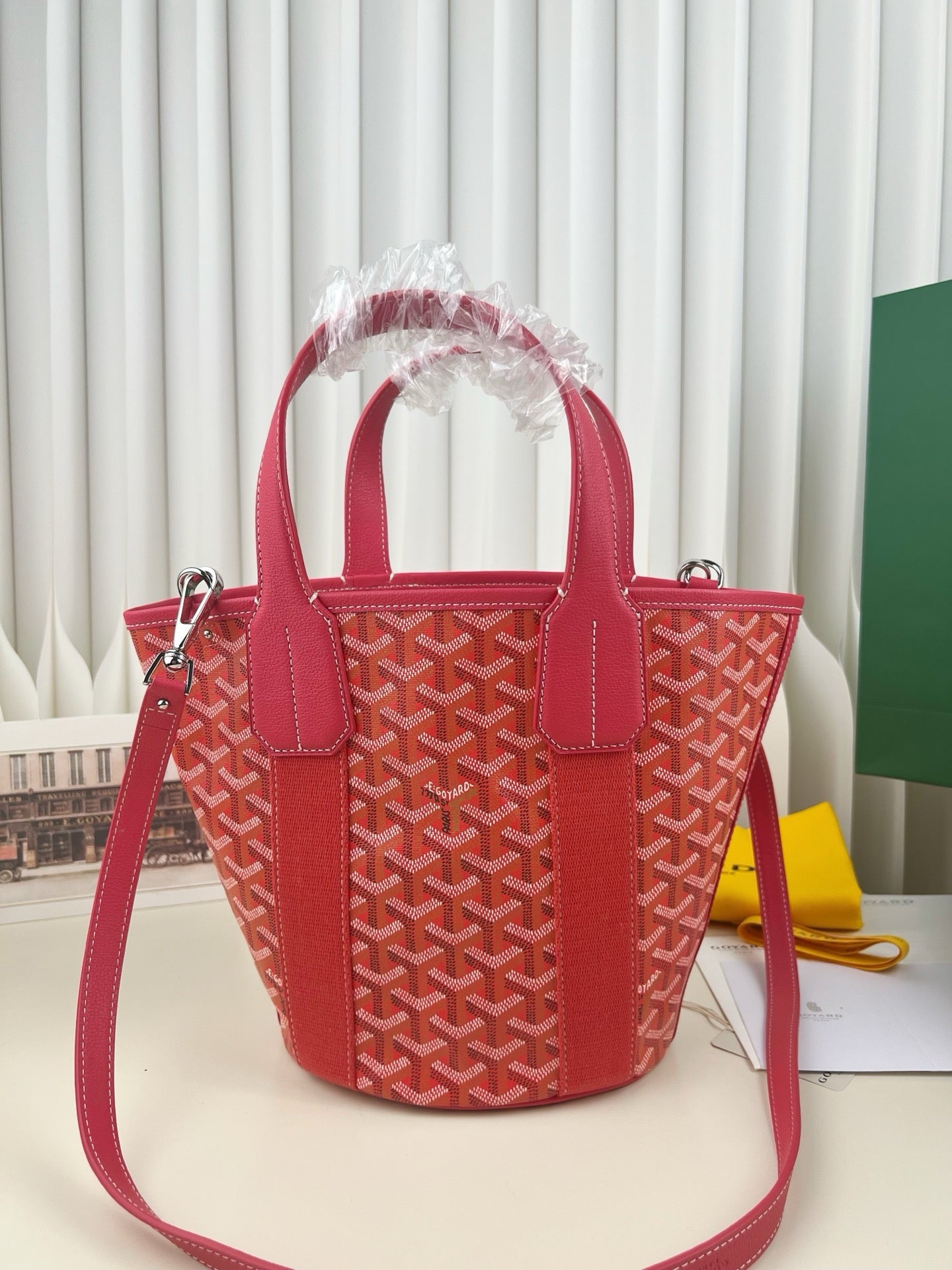 고야드 벨하라 PM