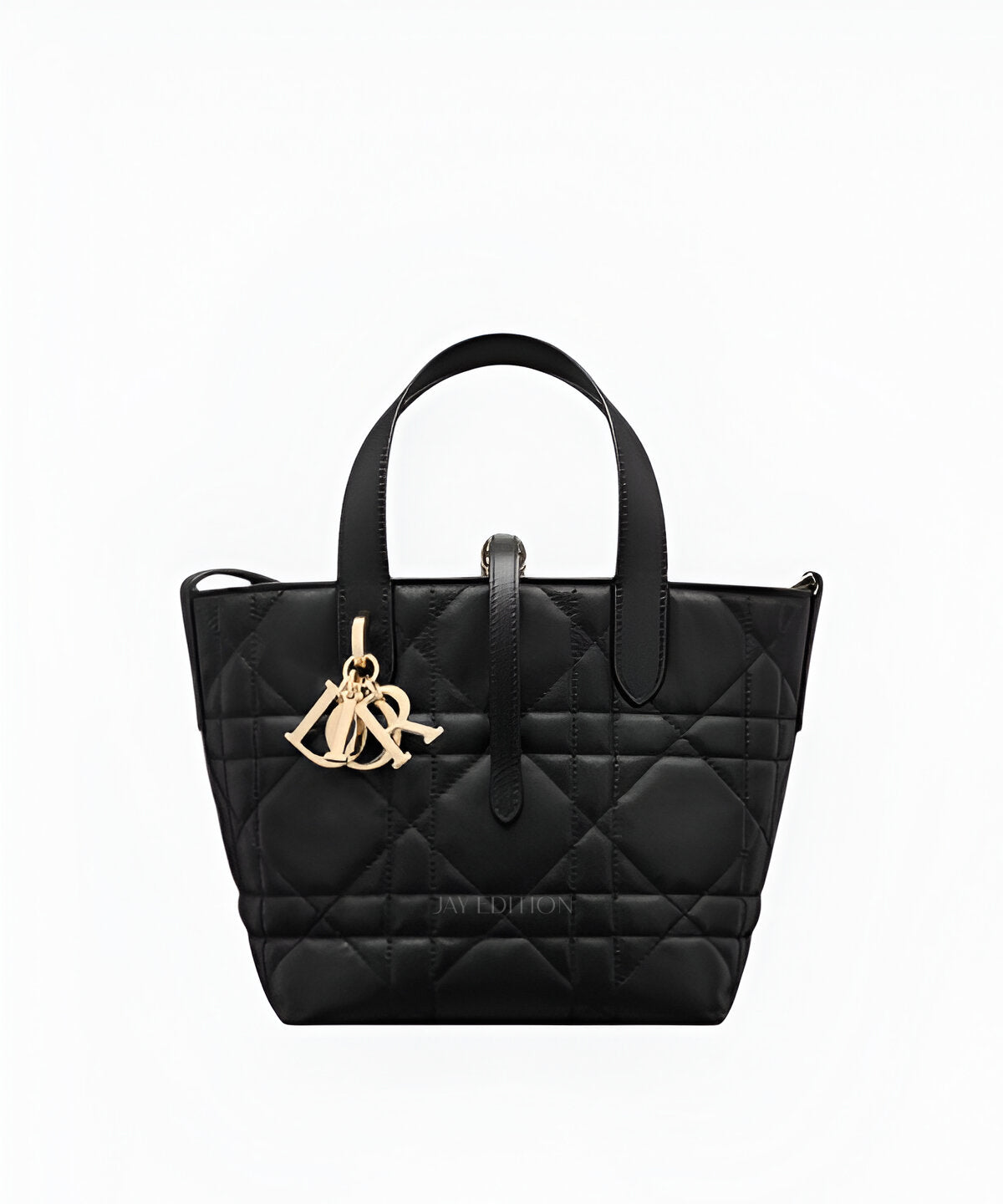 디올 버티컬 뚜주흐백 미디움 송아지 가죽 디테일과 CHRISTIAN DIOR 로고 음각