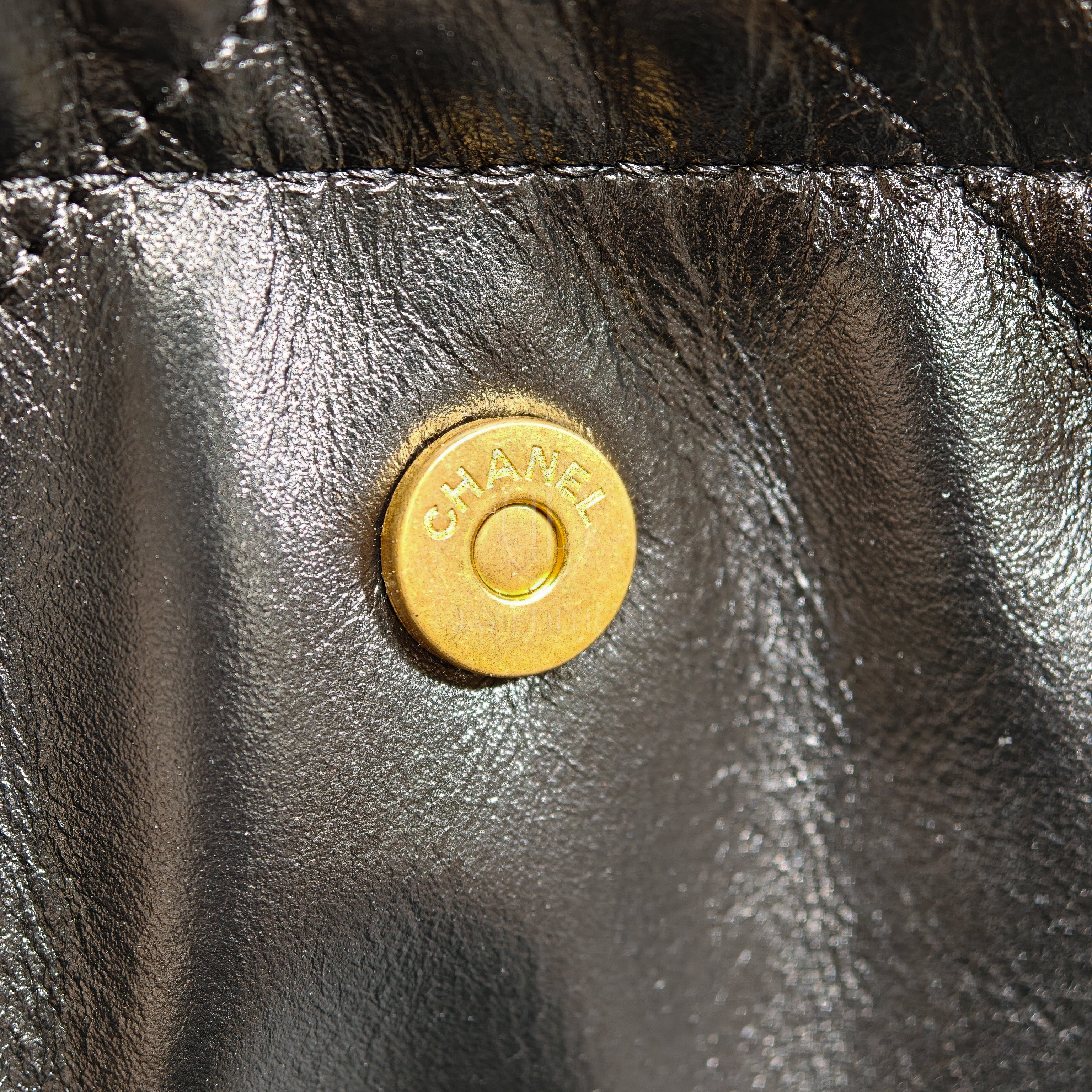 C 22백 스몰, 미디움