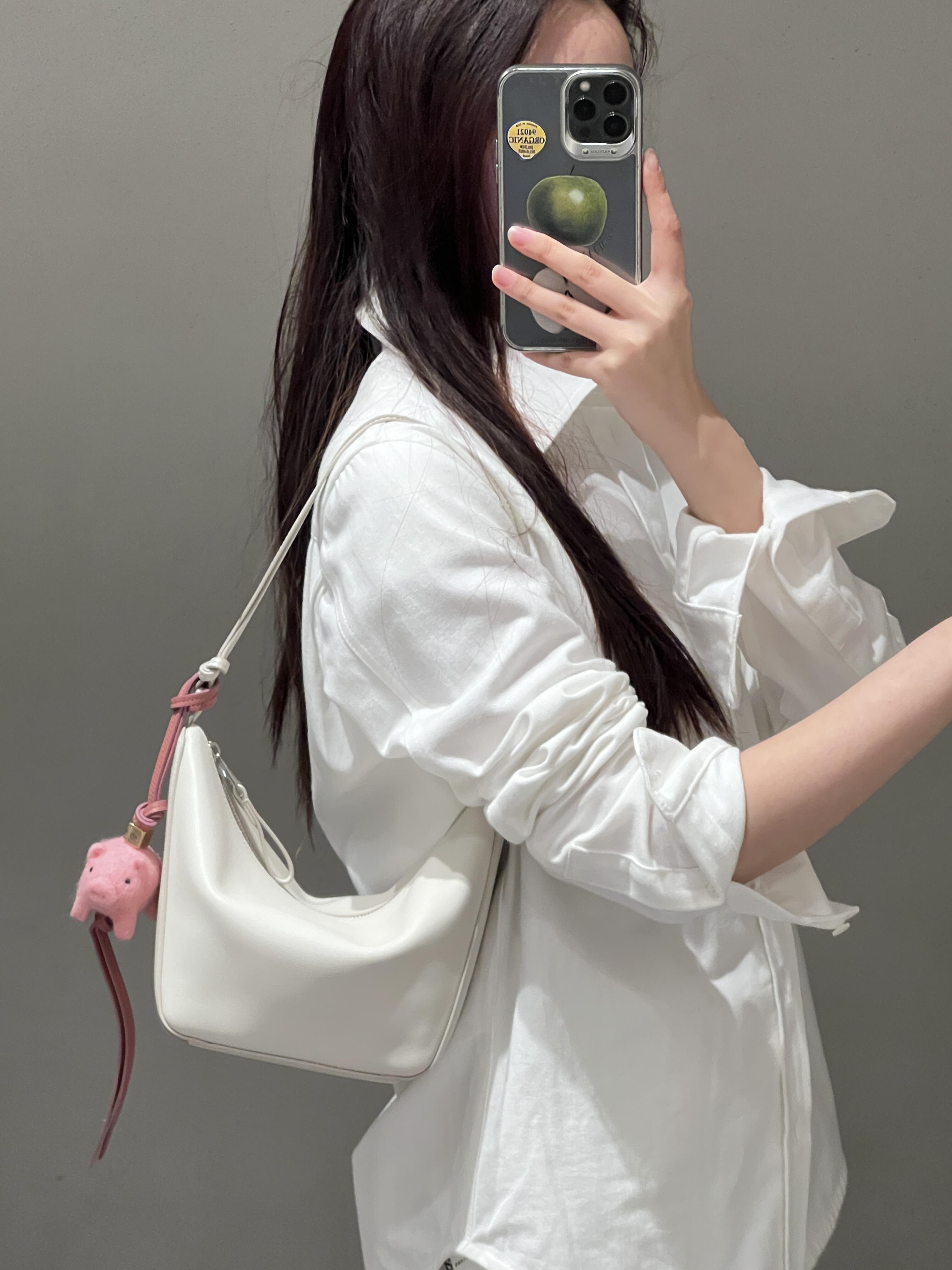 로에베 해먹 호보백 미니