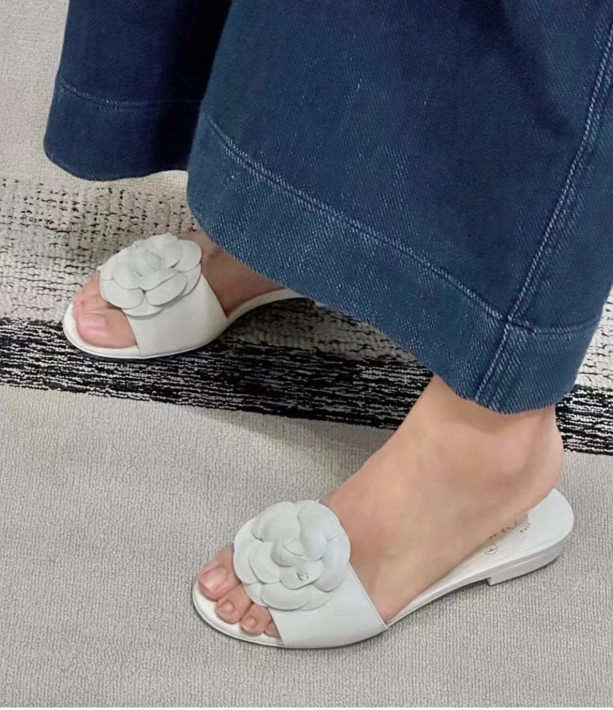 C 까멜리아 뮬