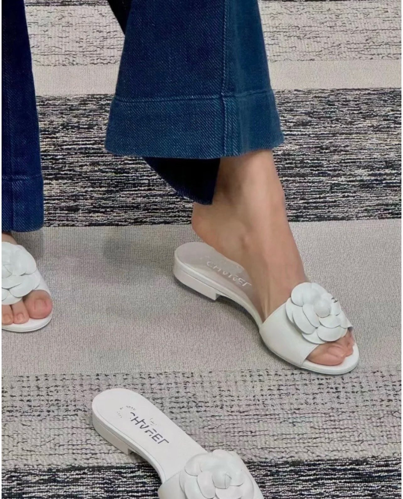 C 까멜리아 뮬