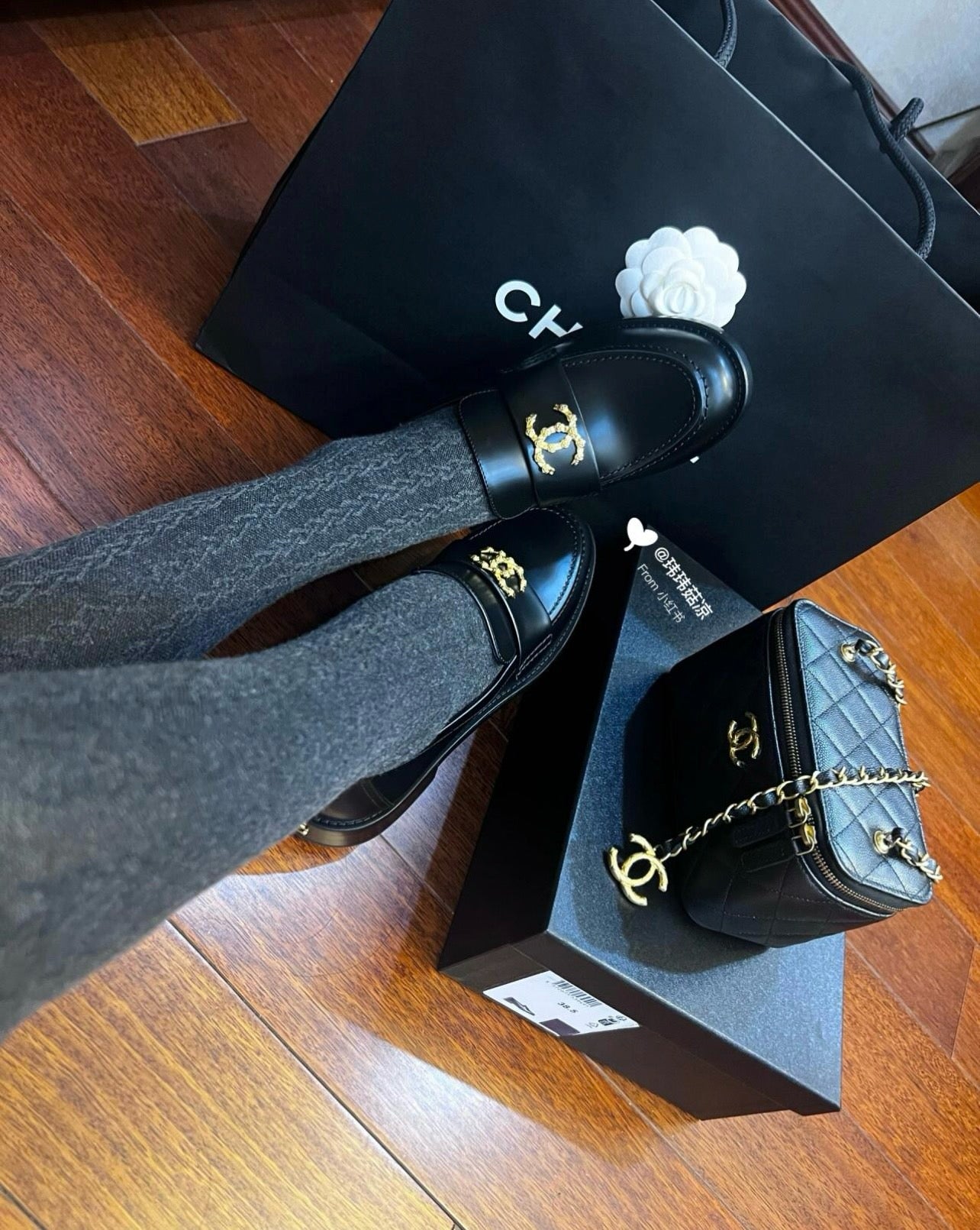 C 24SS 까멜리아 CC로고 로퍼
