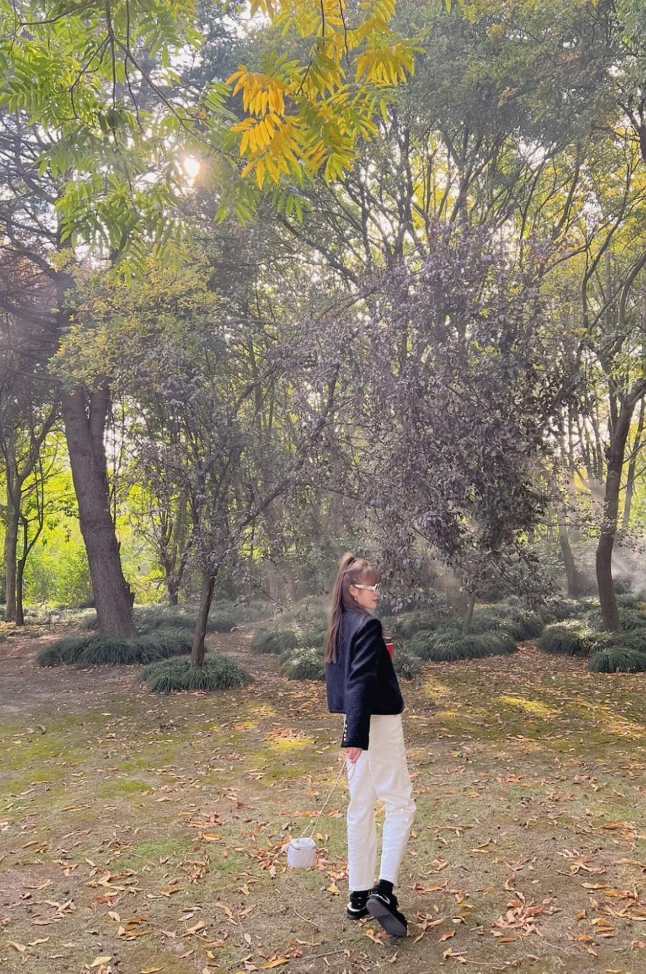 C 골드볼 베니티
