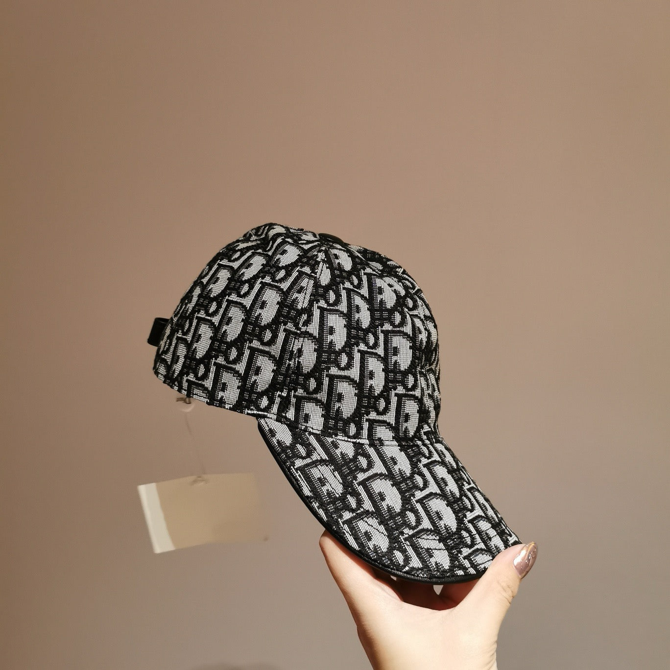 디올 오블리크 볼캡