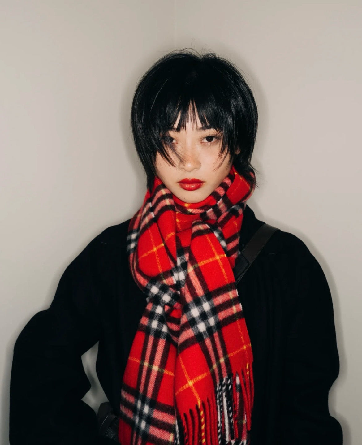 버버리 머플러