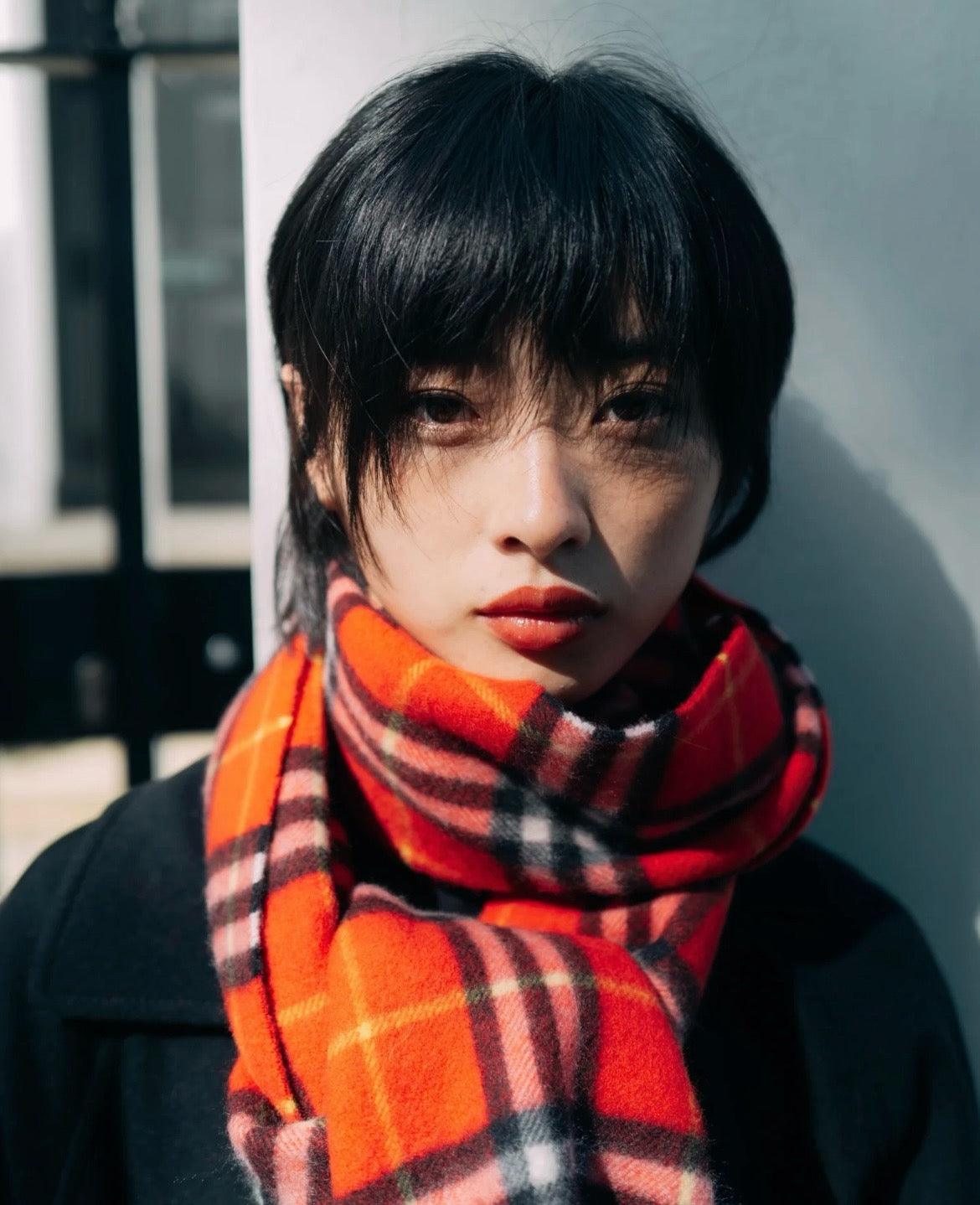 버버리 머플러