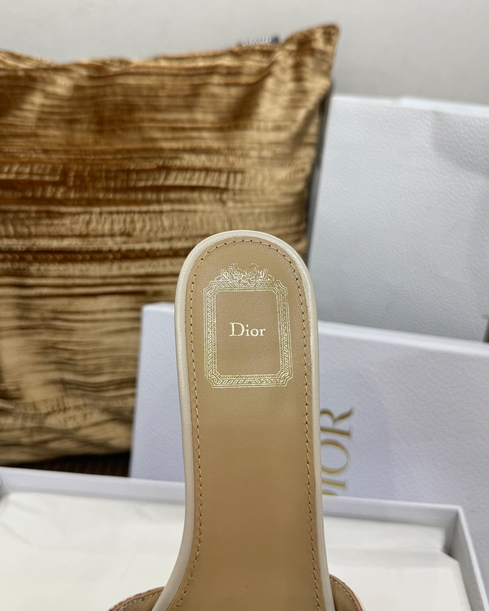 디올 메달리옹 버클 힐 슬라이드