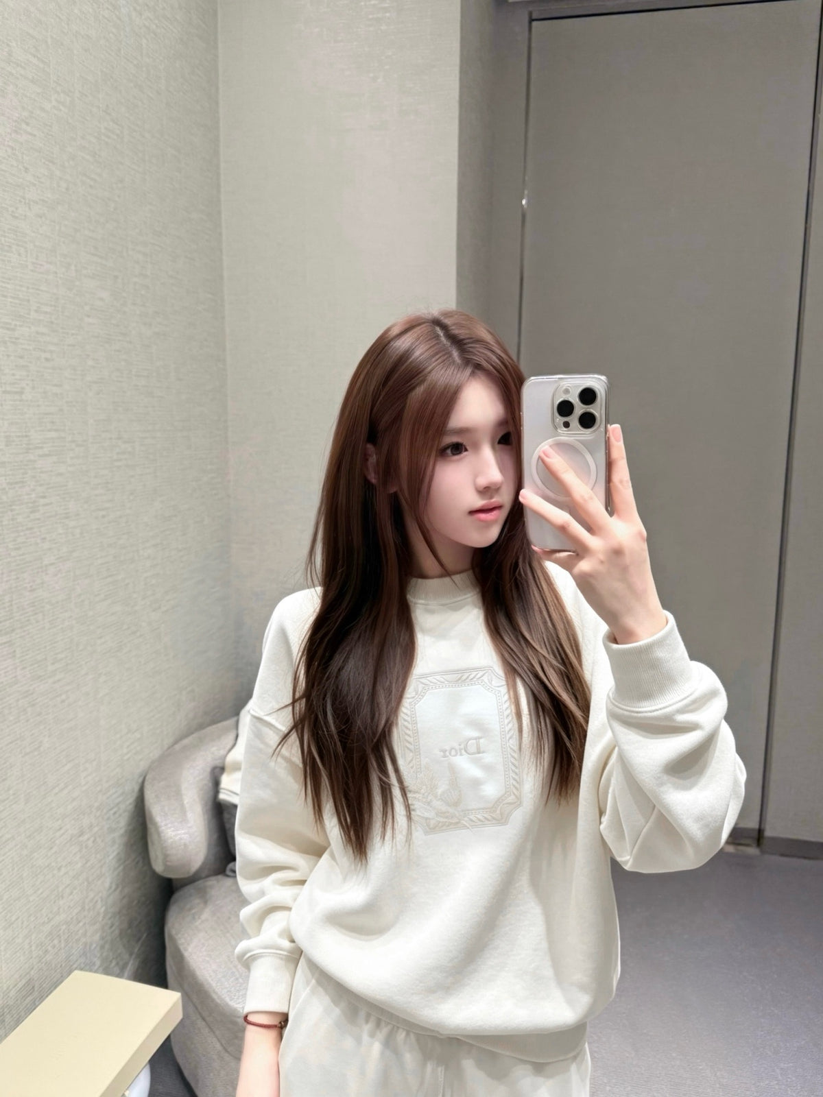 디올 메달리옹 콜리브리 스웨트셔츠