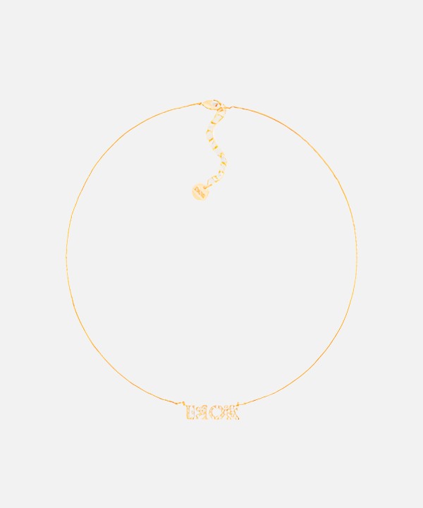 디올 evolution 네크리스